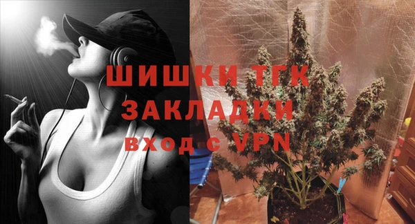 хмурый Липки