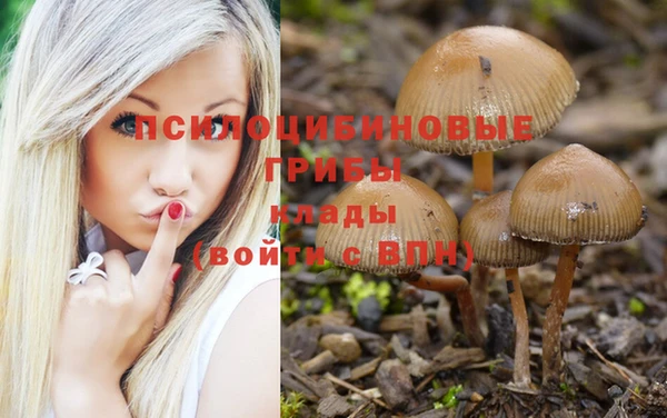 каннабис Санкт-Петербург