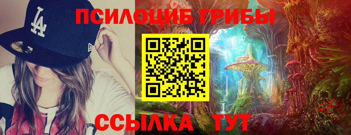 Галлюциногенные грибы мицелий Тверь