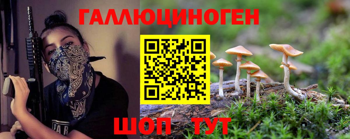 Тверь  Галлюциногенные грибы прущие грибы  Псилоцибиновые грибы Magic Shrooms  Вход с VPN 